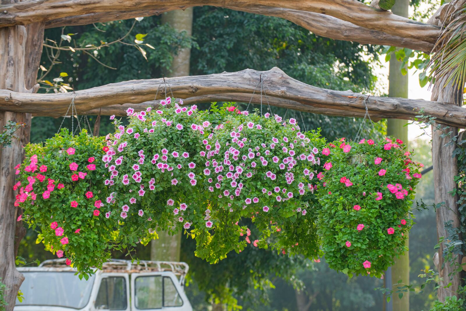 Nikon D810 sample photo. Flower, nest workshop, tree photography