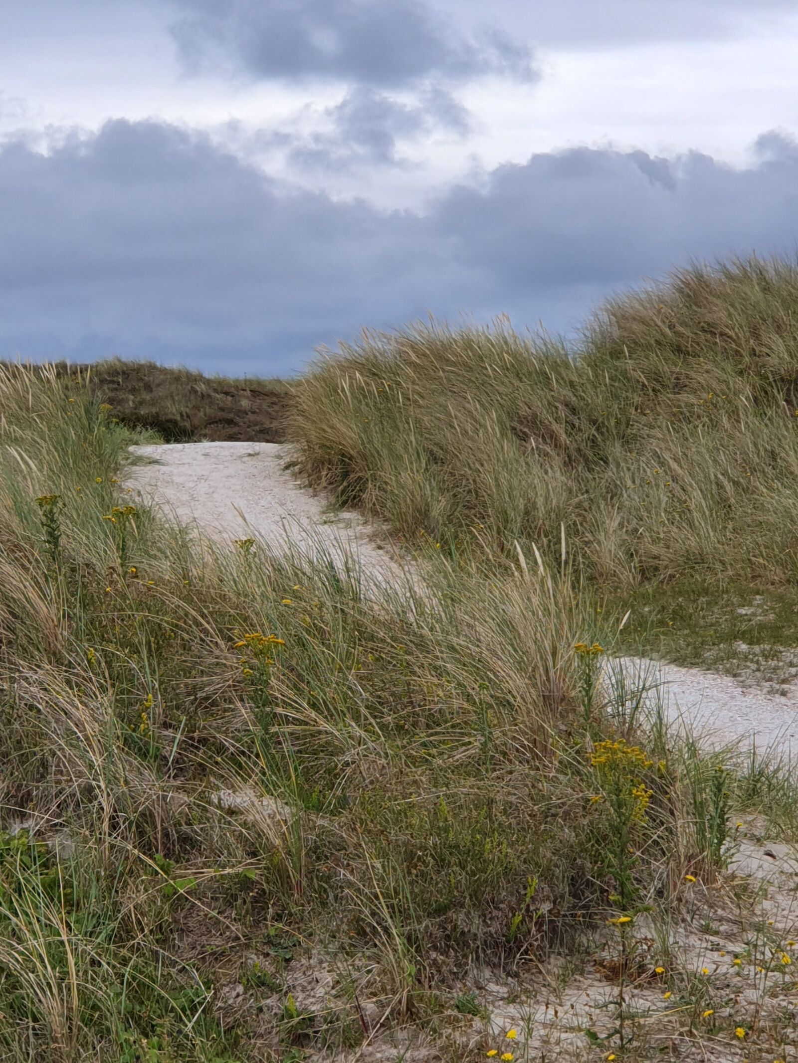 Samsung Galaxy S10+ sample photo. Away, dunes, clouds photography