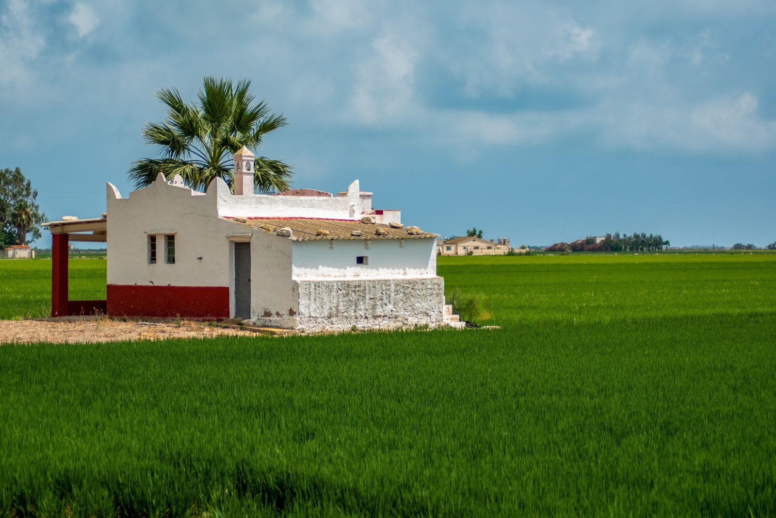Nikon D5600 sample photo. Spain, rice fields, nature photography