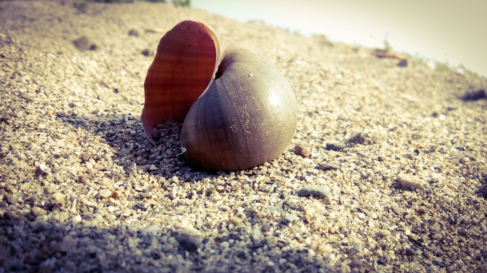 Motorola Moto E3 Power sample photo. Sand, beach, nature photography