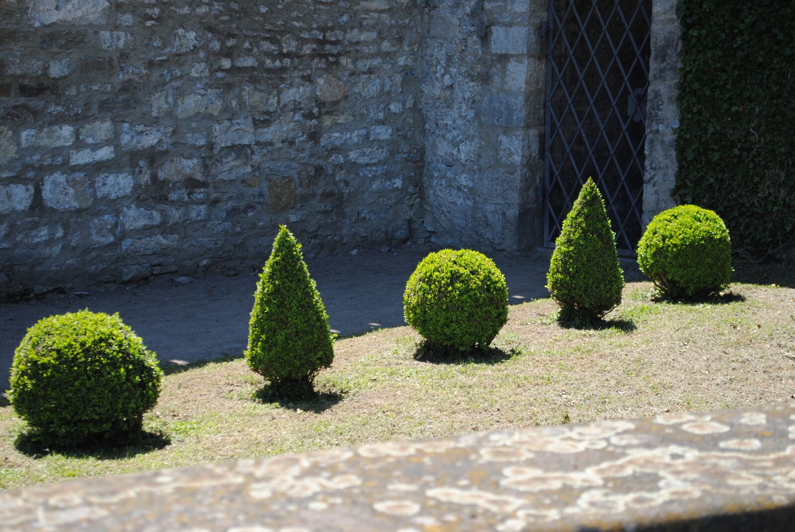 Nikon D3000 sample photo. Architecture, garden, form photography