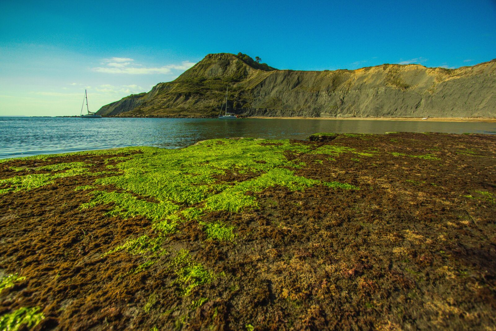 Canon EOS 60D sample photo. Bay, chapman's pool, nature photography
