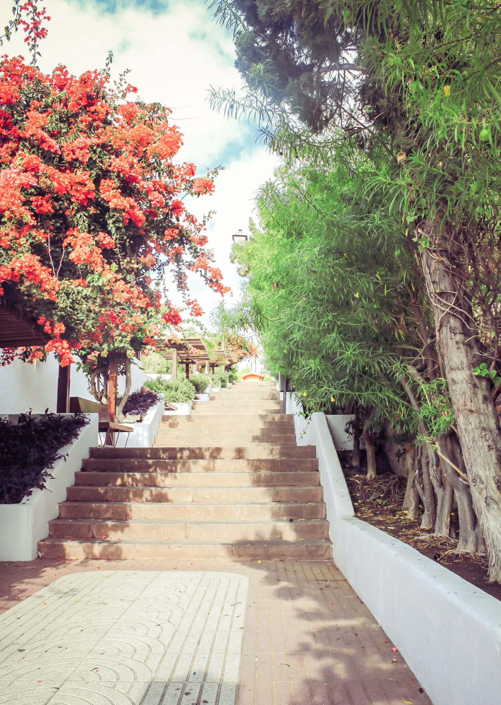 Canon EOS 500D (EOS Rebel T1i / EOS Kiss X3) sample photo. Architecture, building, flowers, stairs photography