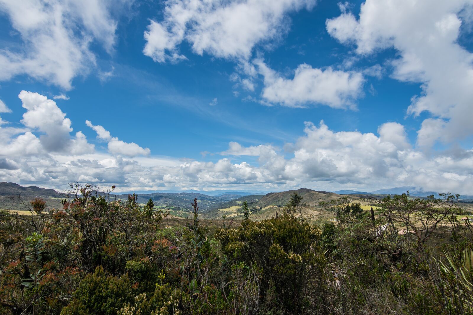 Nikon D5600 sample photo. Kill round, paramo, lake photography