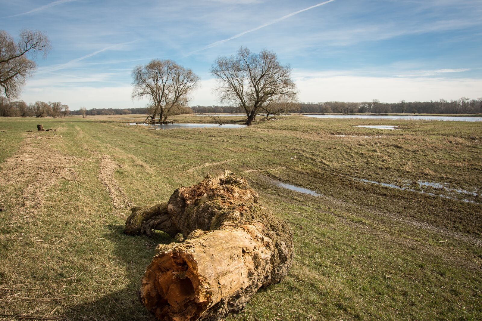 Nikon D7200 sample photo. Elbe, elbufer, river photography