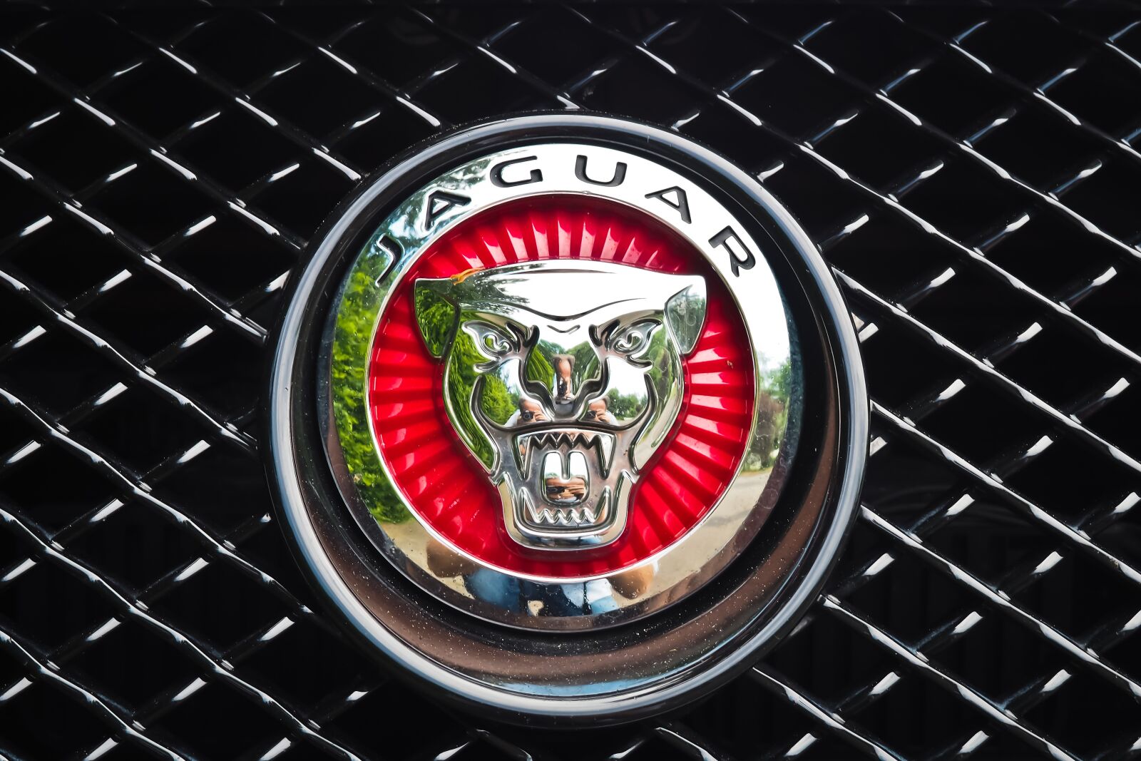 Olympus OM-D E-M10 sample photo. Jaguar, auto, automotive photography