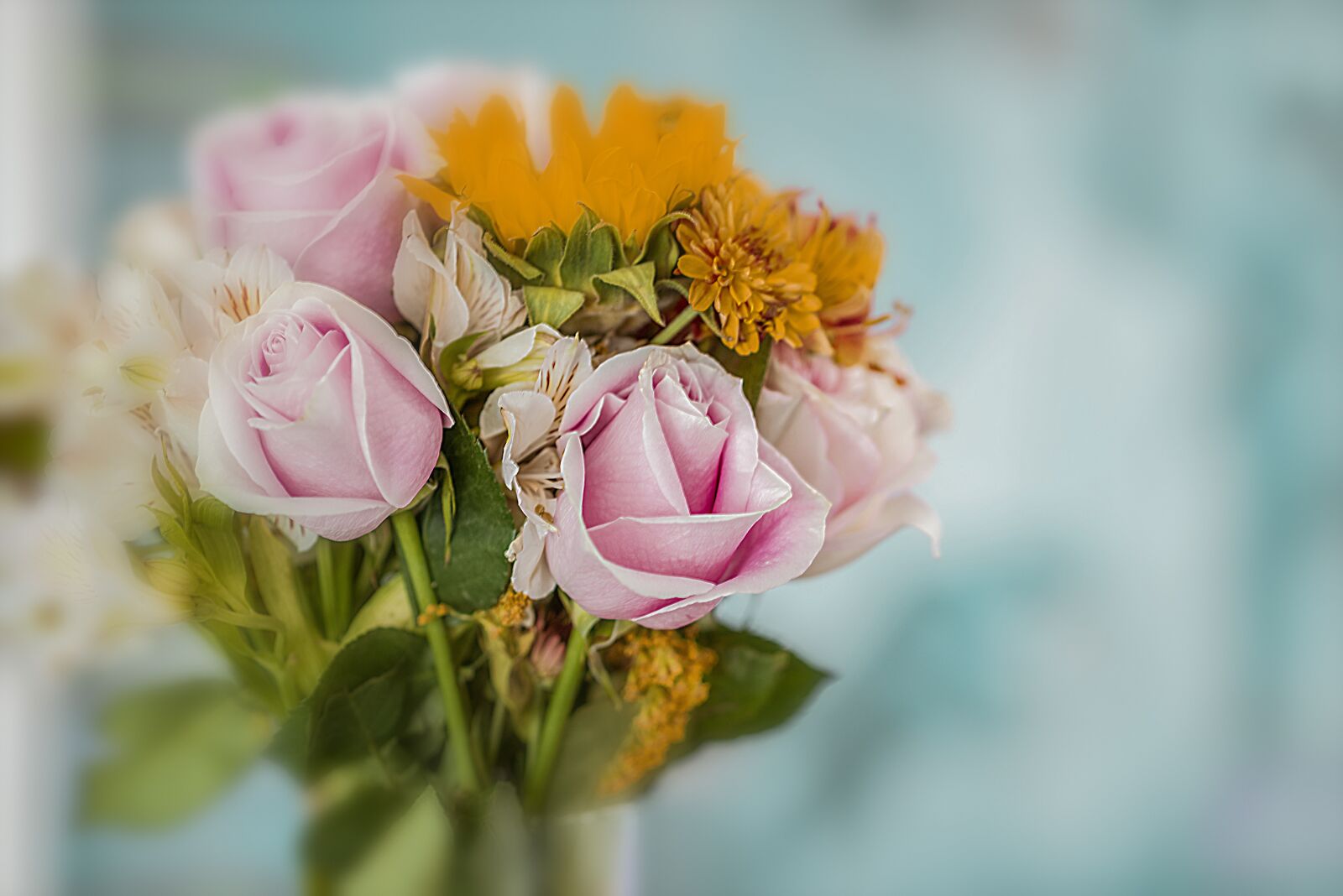 Nikon D600 sample photo. Flower, nature, plant photography