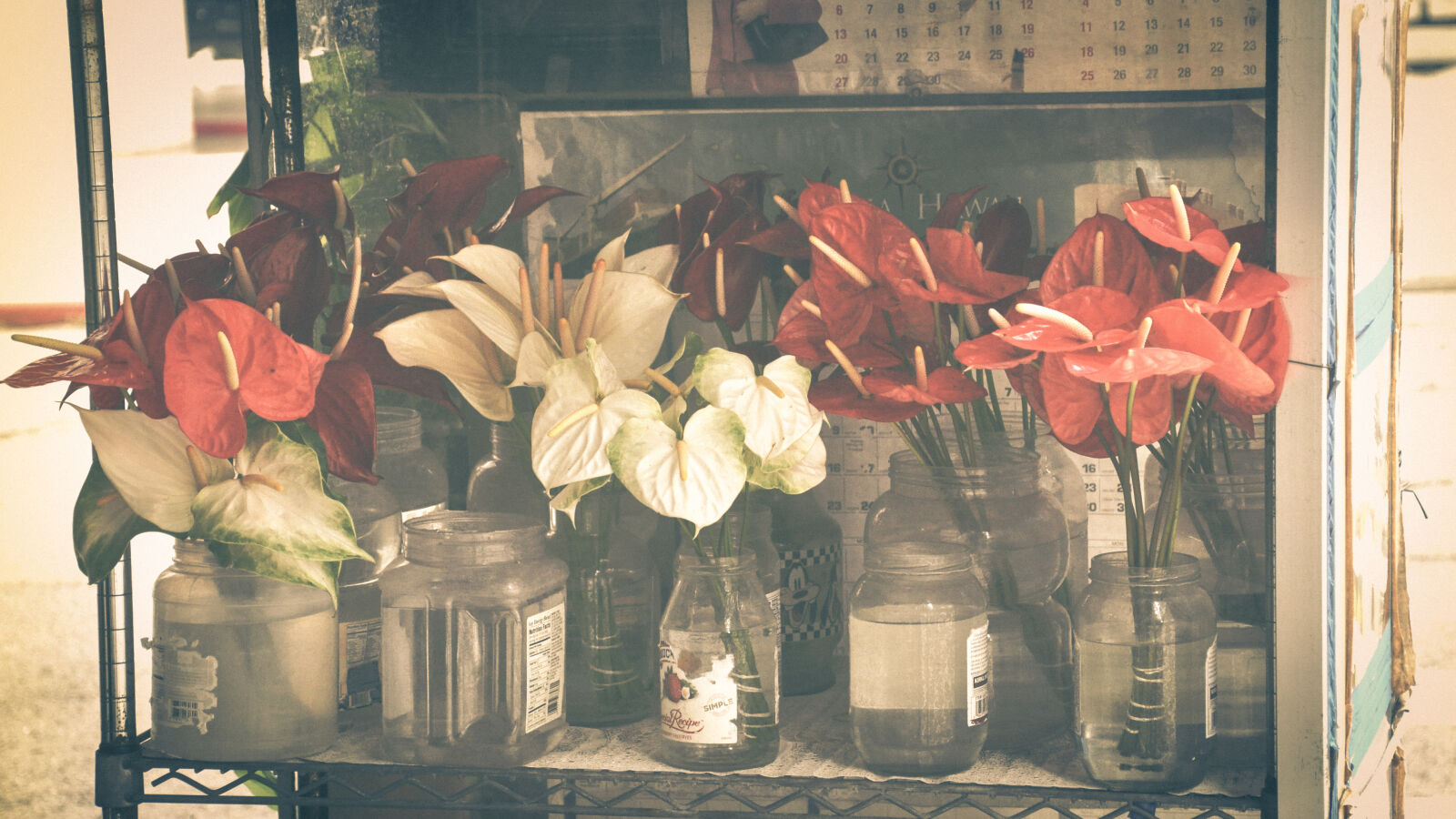 Nikon D90 sample photo. Bottle, flower, night, old photography