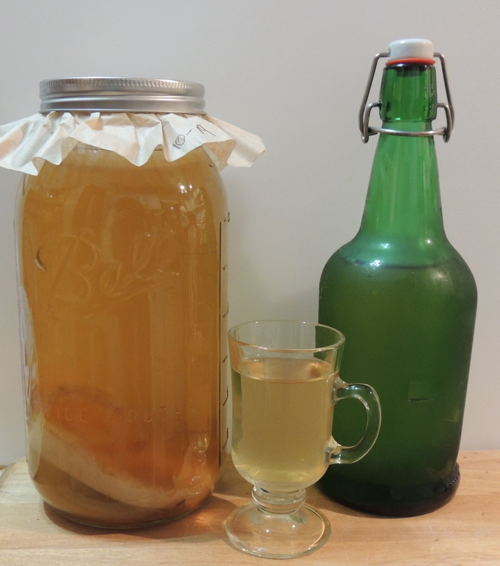 Nikon Coolpix P510 sample photo. Fermentation, fermented, foods, homemade photography