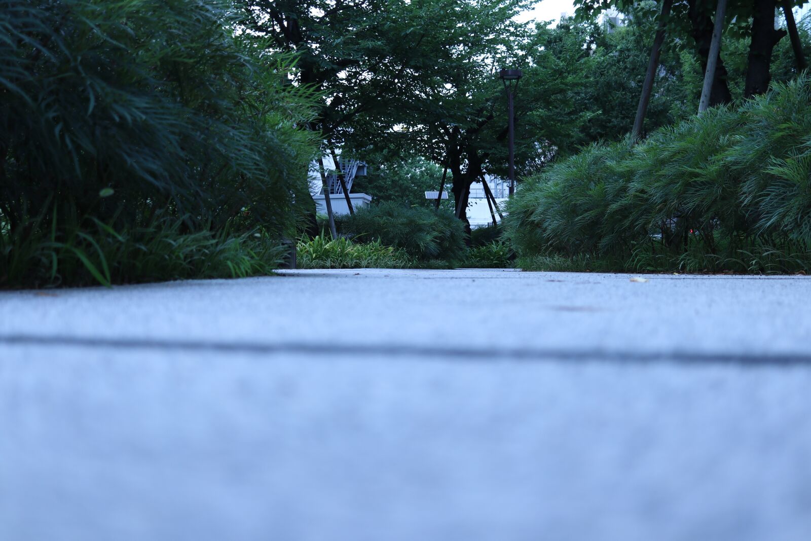 Canon EOS 80D sample photo. Promenade, park, landscape photography