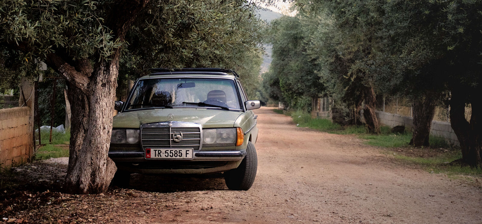 Sony E 16-50mm F3.5-5.6 PZ OSS sample photo. Green, mercedes, benz, w123 photography