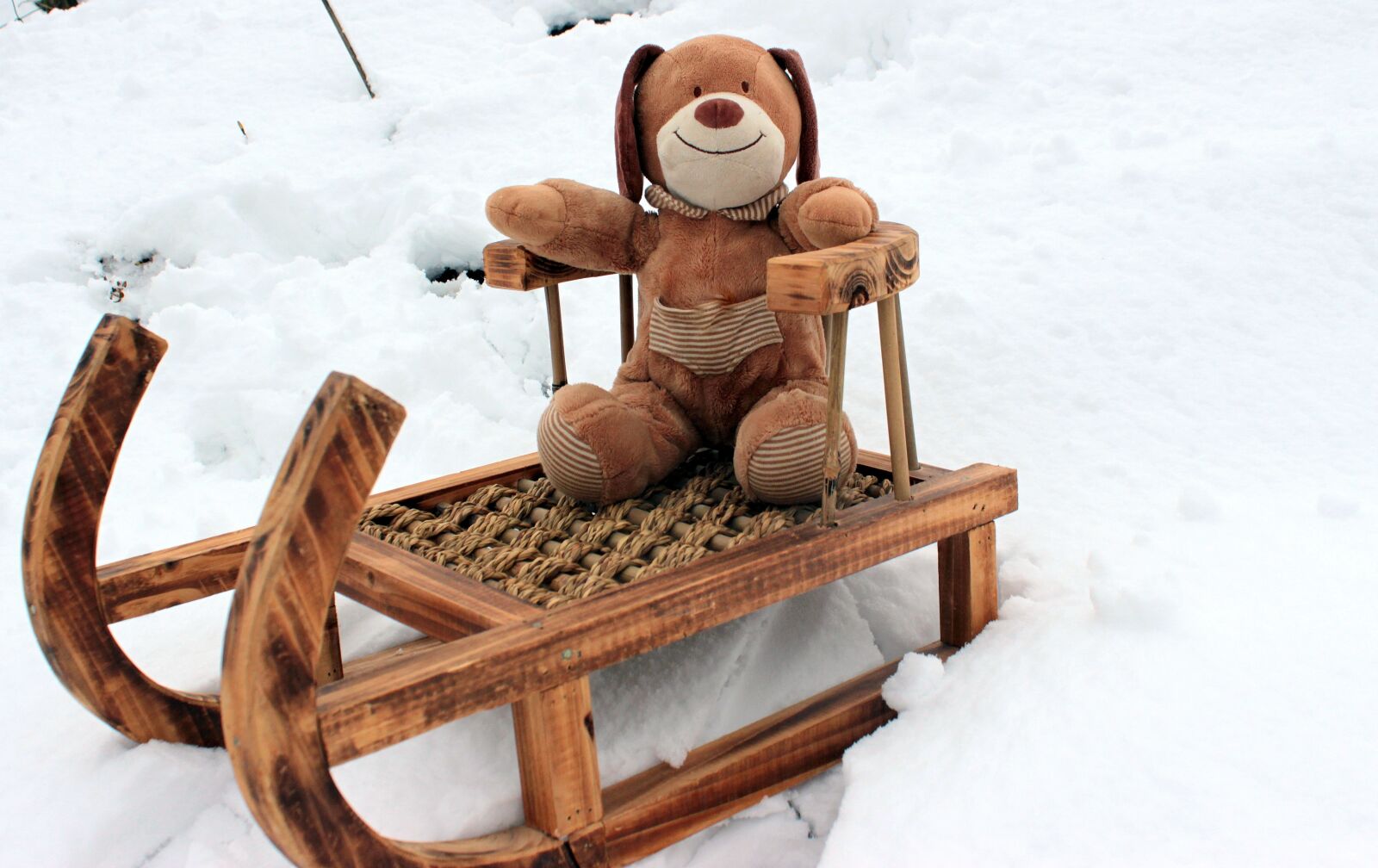 Canon EOS 650D (EOS Rebel T4i / EOS Kiss X6i) sample photo. Teddy bear, stuffed animal photography