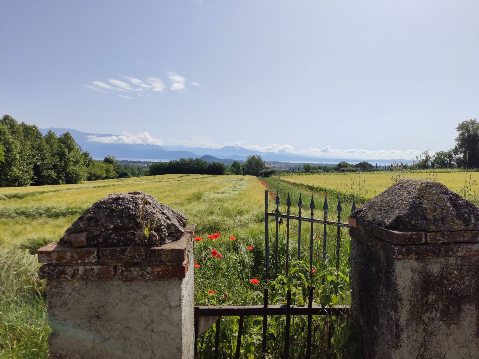 Xiaomi MI 9 sample photo. Landscape, gate, columns photography