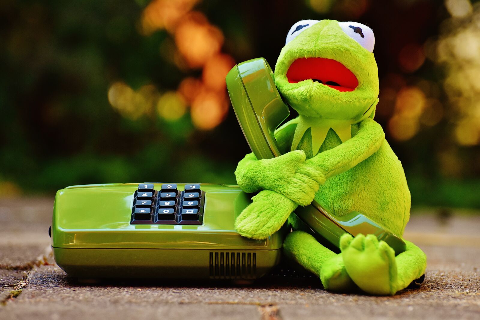 Nikon D7200 sample photo. Kermit, frog, phone photography