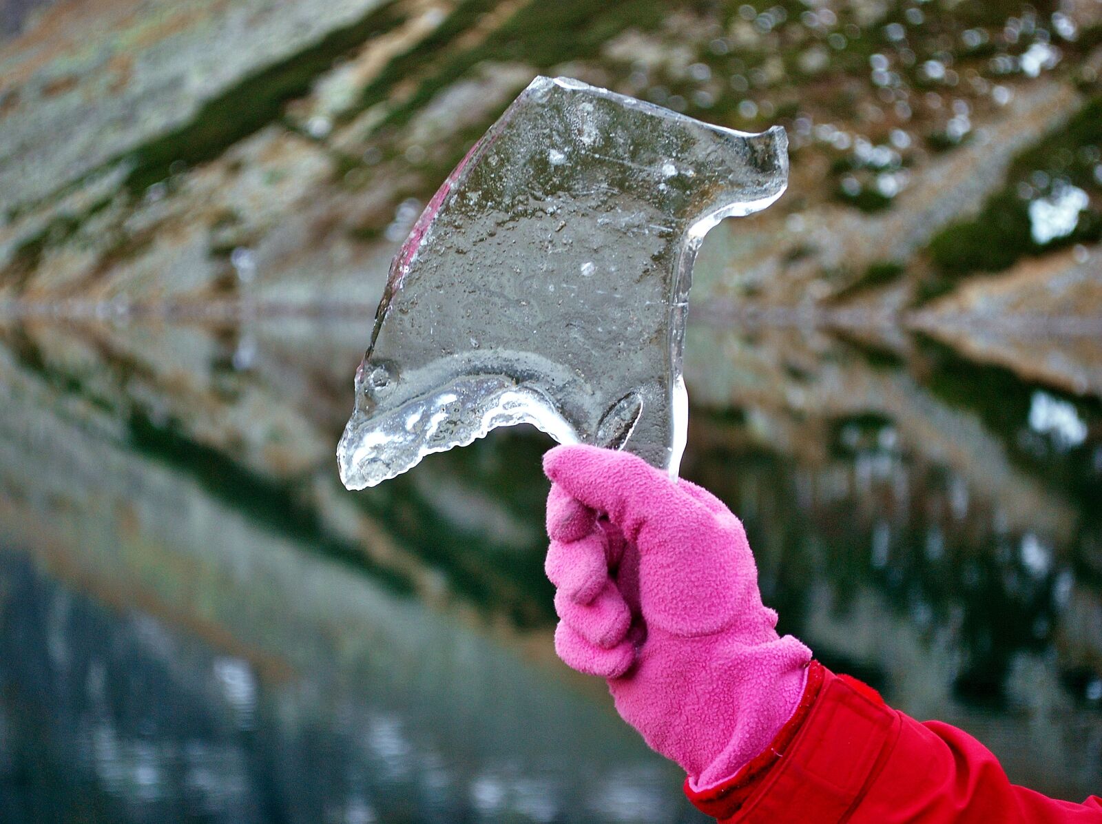 Nikon D80 sample photo. Ice, the hand, mountains photography