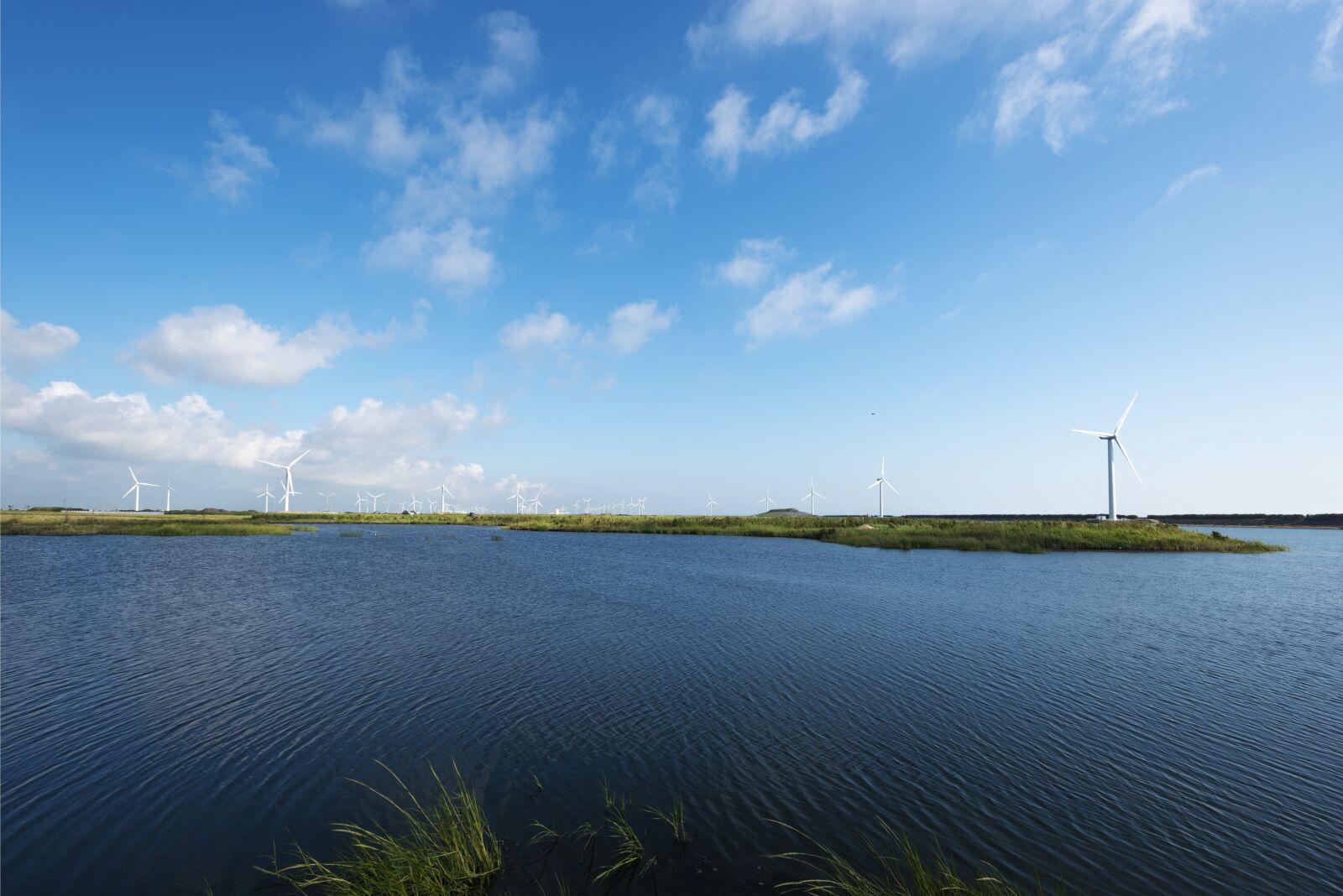 Nikon D750 sample photo. Lake, the water, wetland photography