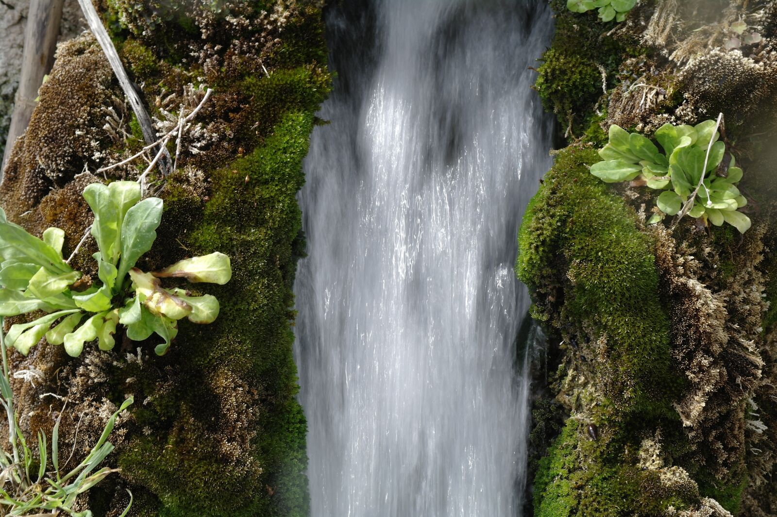 Samsung NX10 sample photo. Running water, river, waterfall photography