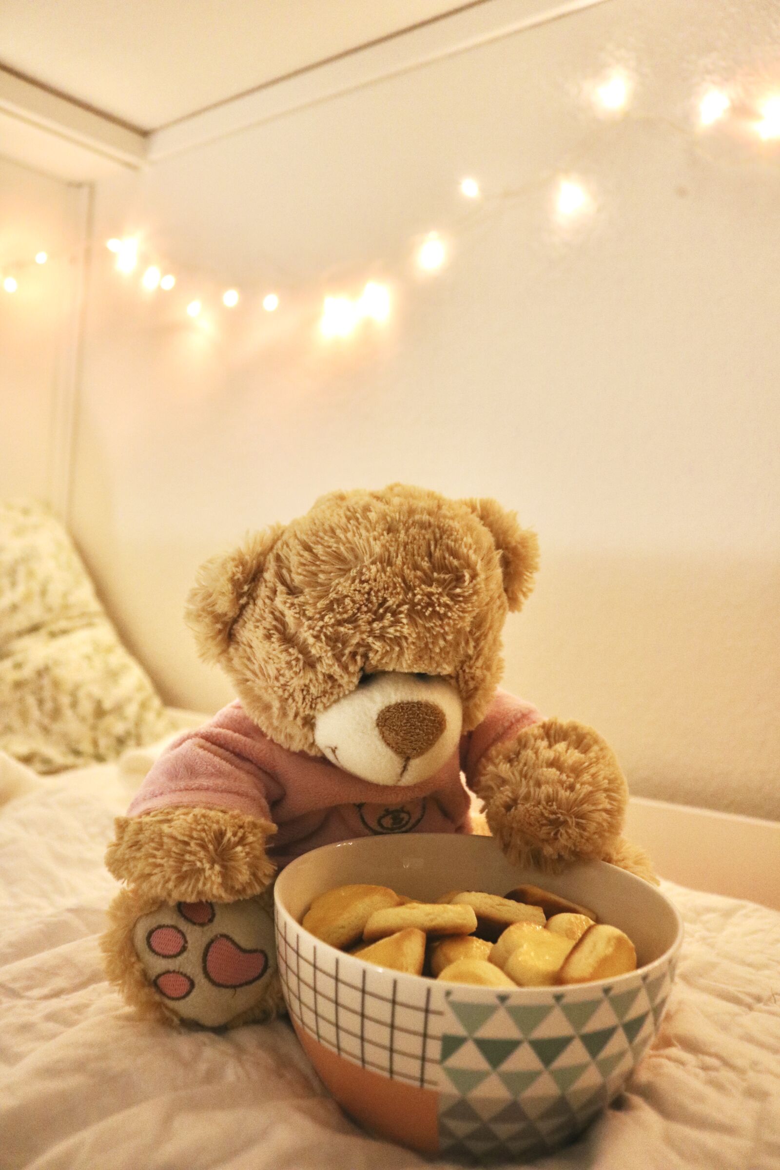 Canon EOS 750D (EOS Rebel T6i / EOS Kiss X8i) sample photo. Brown, bear, plush, toy photography