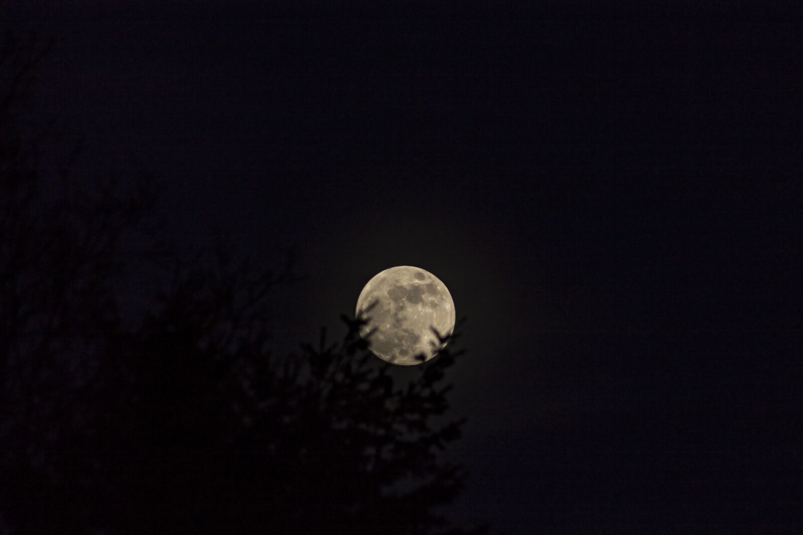 Canon EOS 1100D (EOS Rebel T3 / EOS Kiss X50) sample photo. Moon, sky, night photography