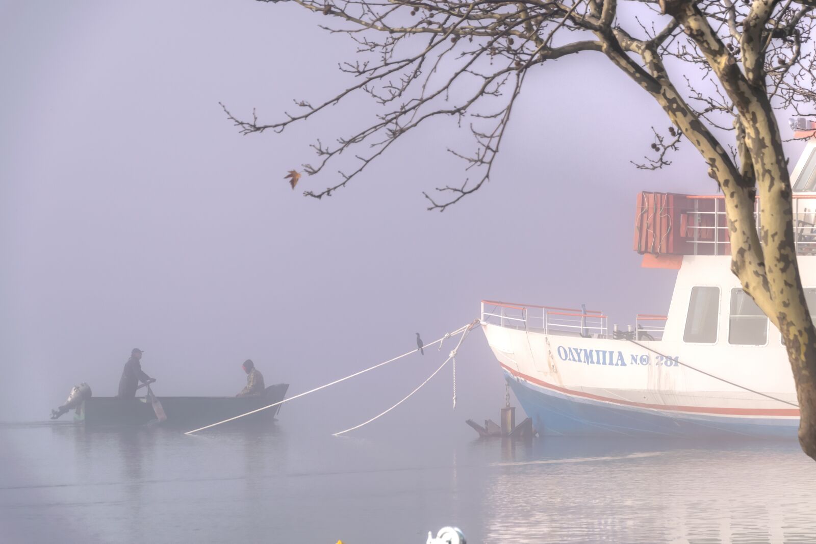 Nikon D5300 sample photo. Ship, boat, fog photography