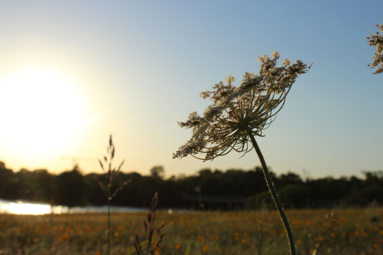 Canon EOS 1300D (EOS Rebel T6 / EOS Kiss X80) sample photo. Art photography