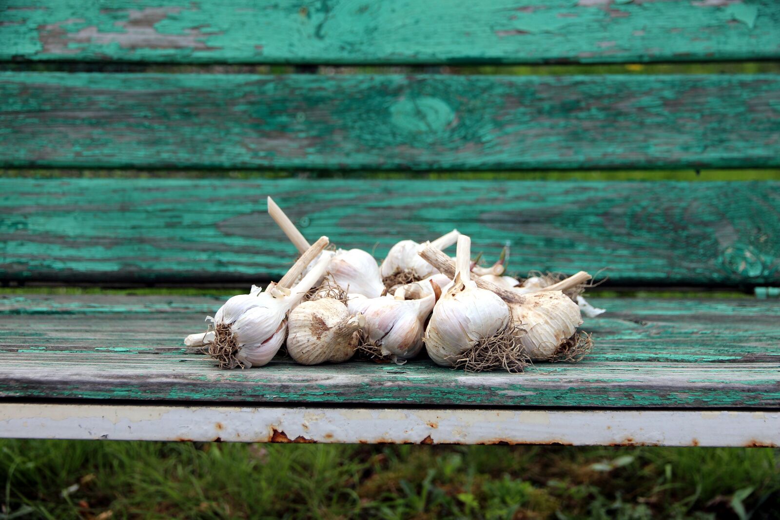 Canon EOS 650D (EOS Rebel T4i / EOS Kiss X6i) sample photo. Garlic, vegetable, wood photography
