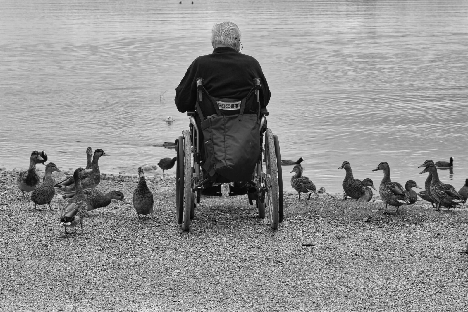 Nikon D7100 sample photo. Person, wheelchair users, lake photography