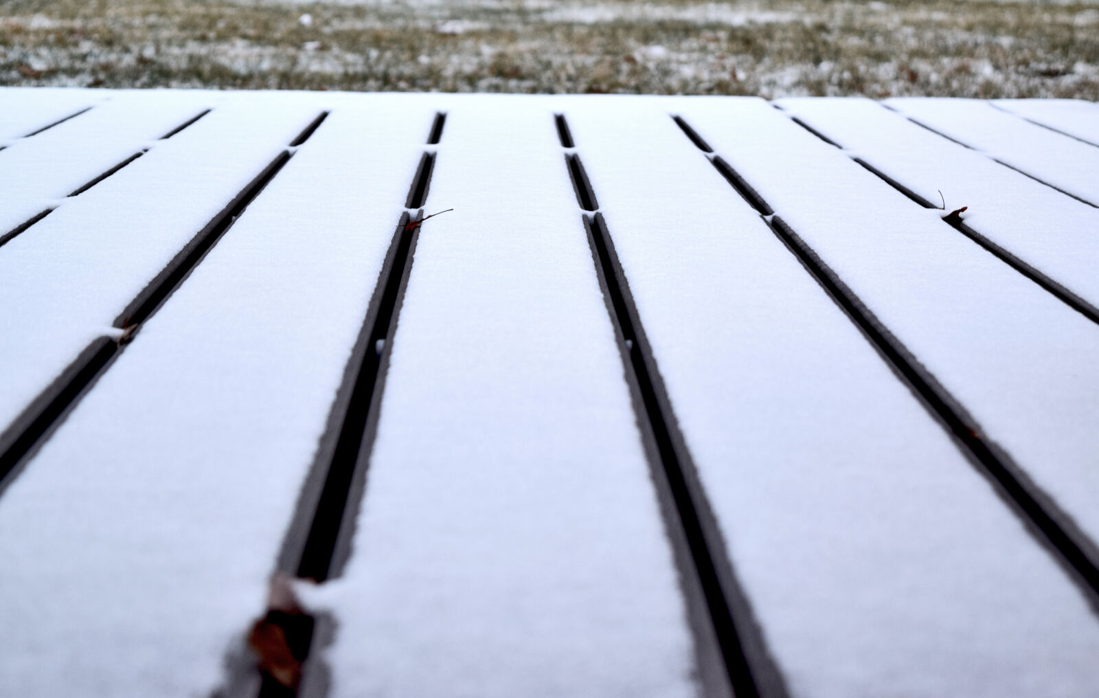 Nikon D3300 sample photo. Garden, snow, terrace, winter photography