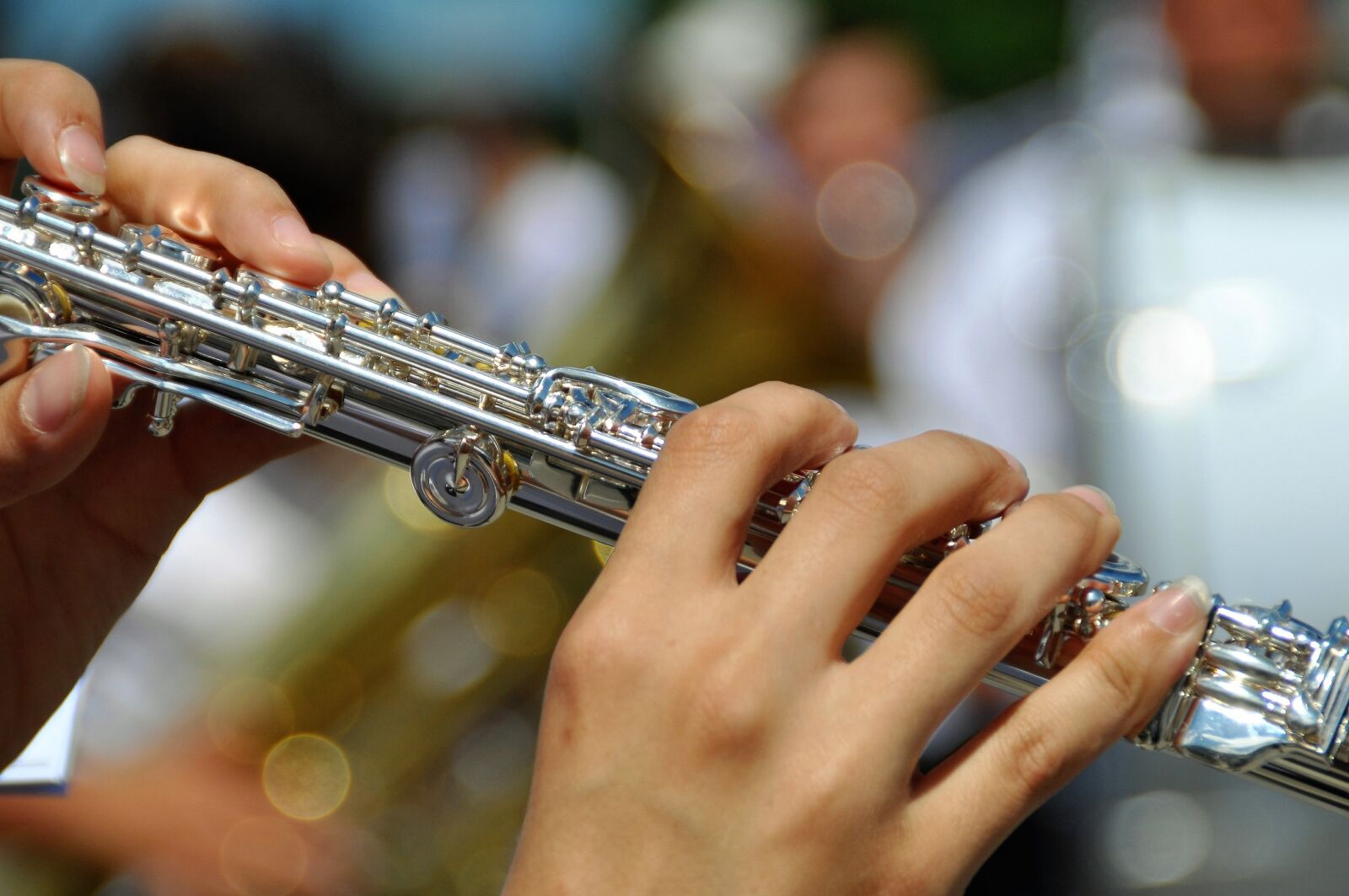 Nikon D90 sample photo. Flute, instrument, music photography