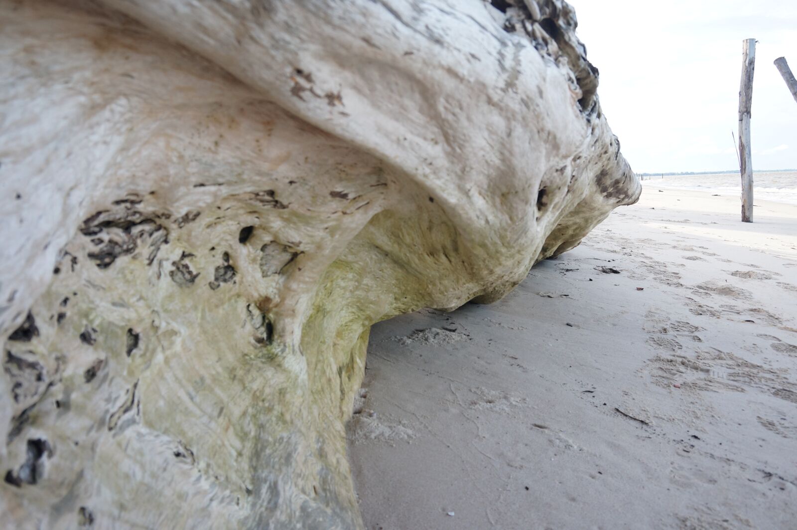 Sony Alpha NEX-3N sample photo. Beach, wood, wooden photography