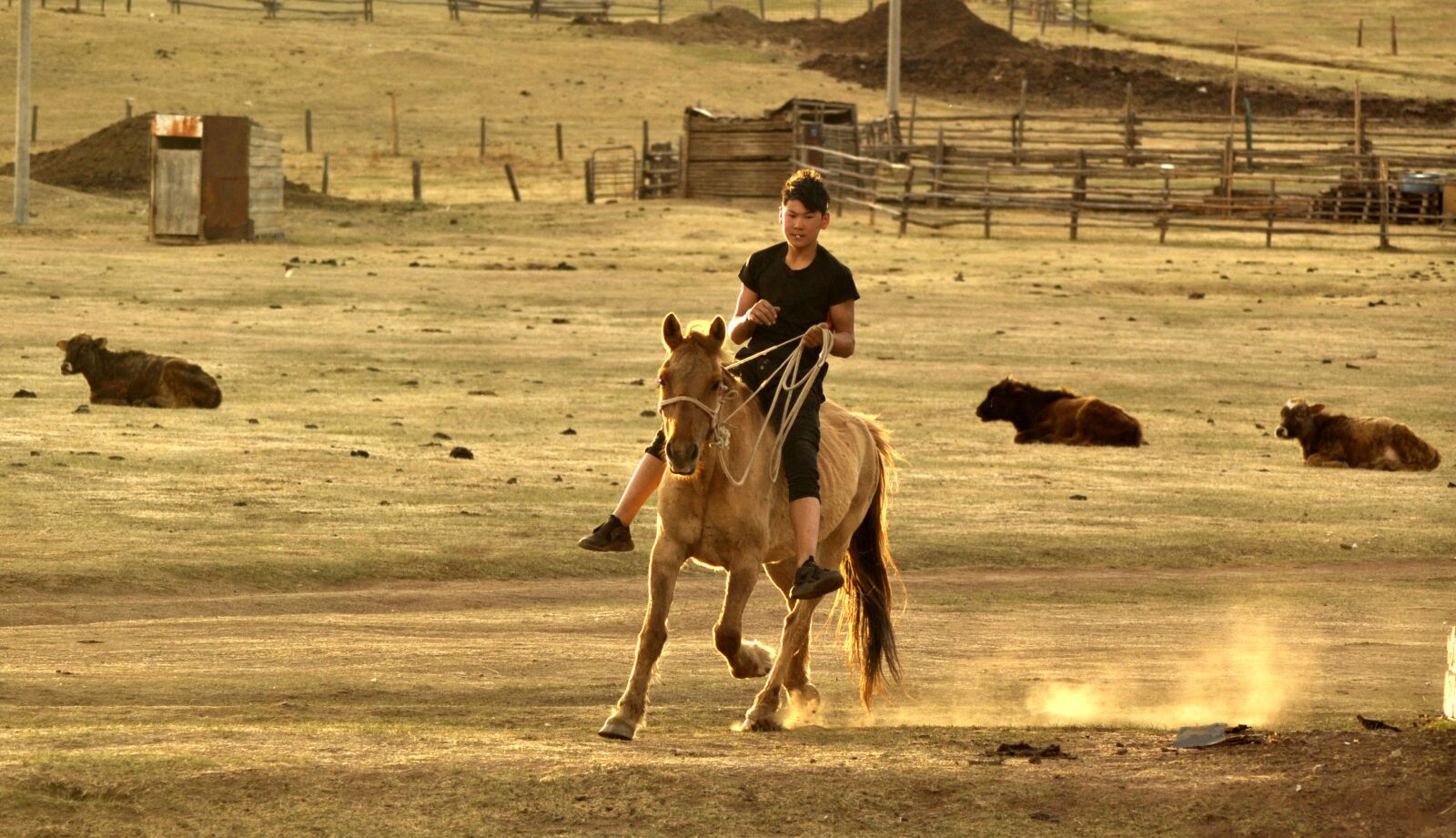 Nikon D90 sample photo. Horseman, horse, rider photography