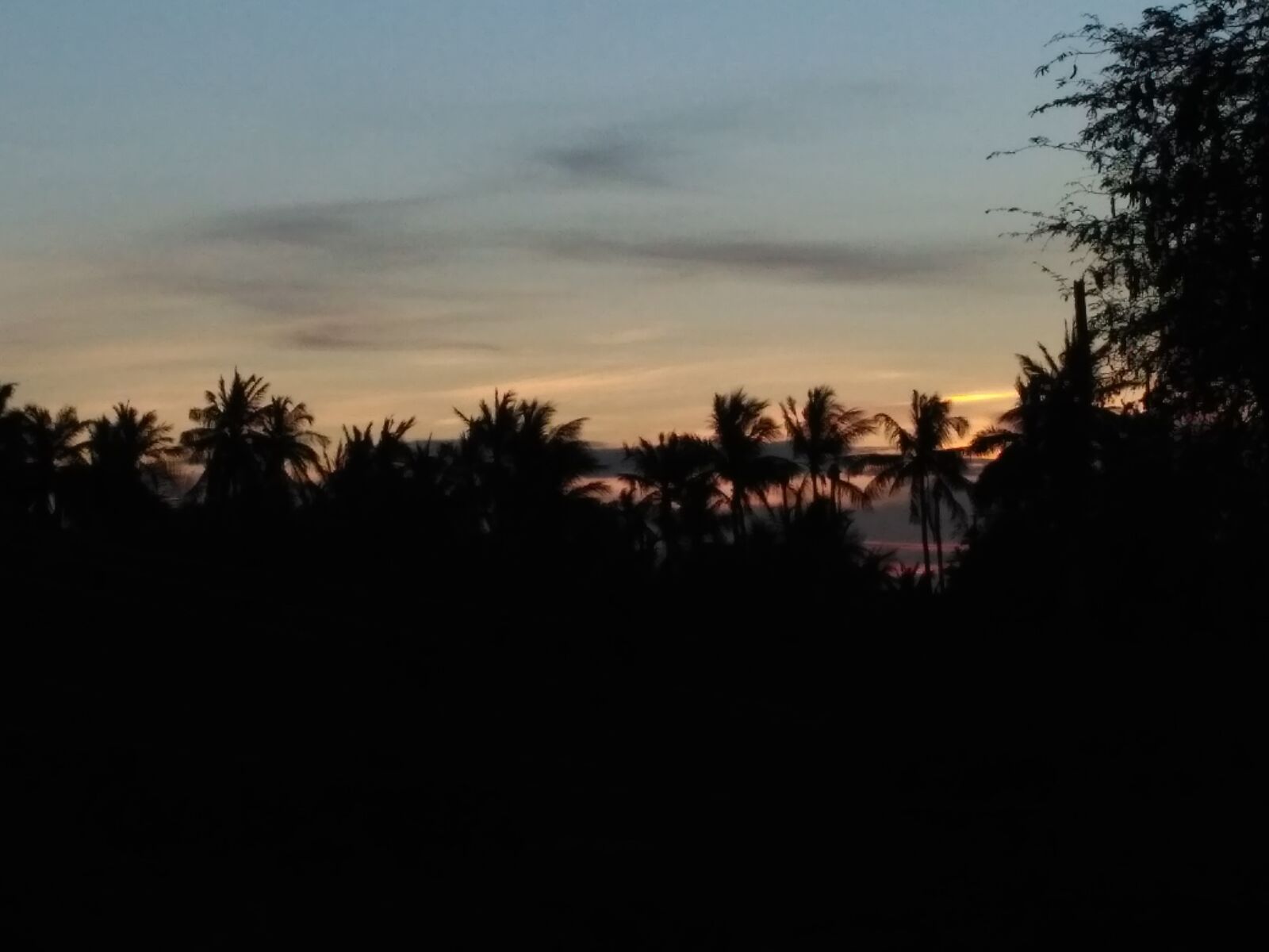 Xiaomi Redmi 3S sample photo