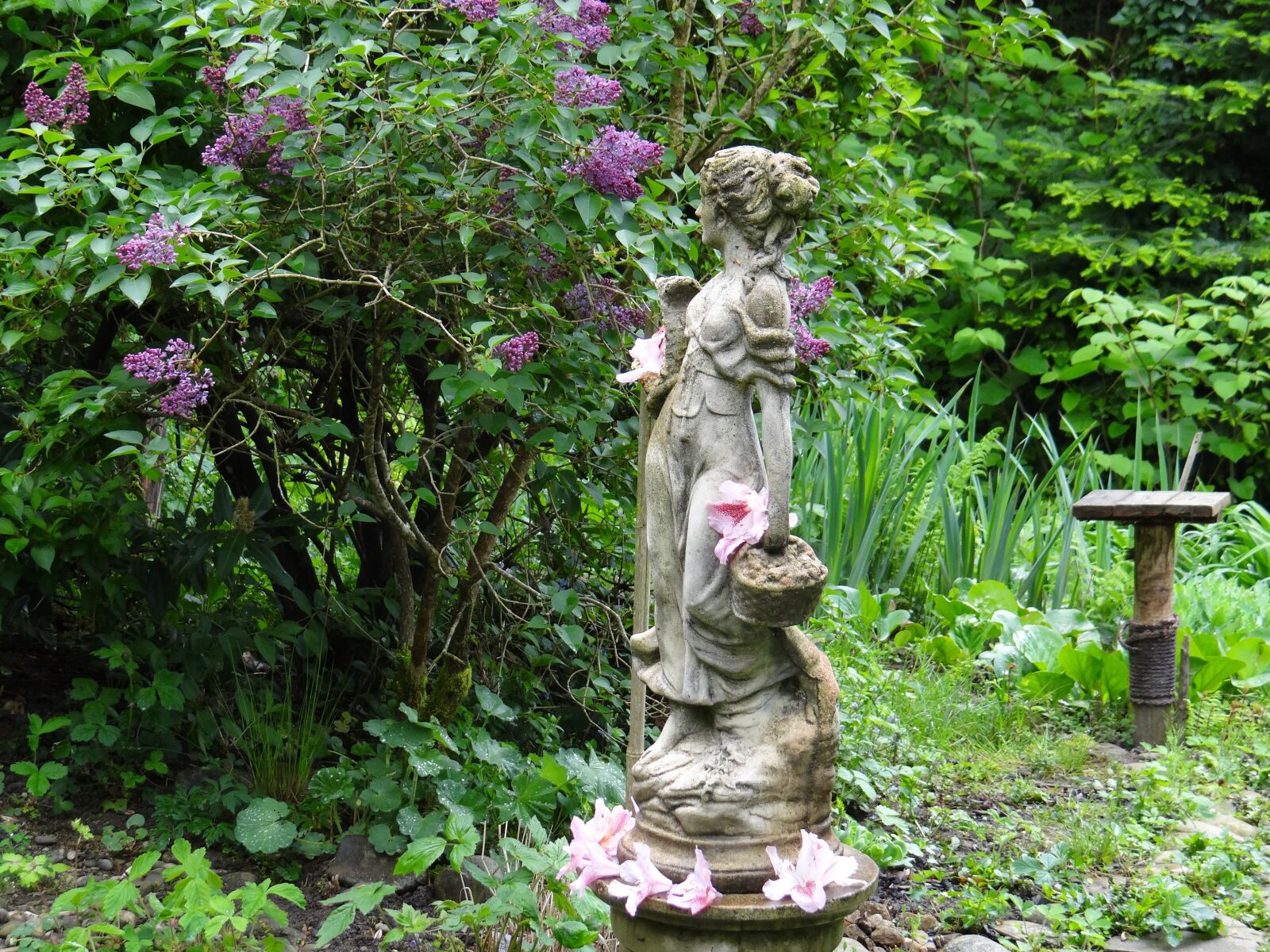 Sony DSC-HX200V sample photo. Garden, spring, figure photography