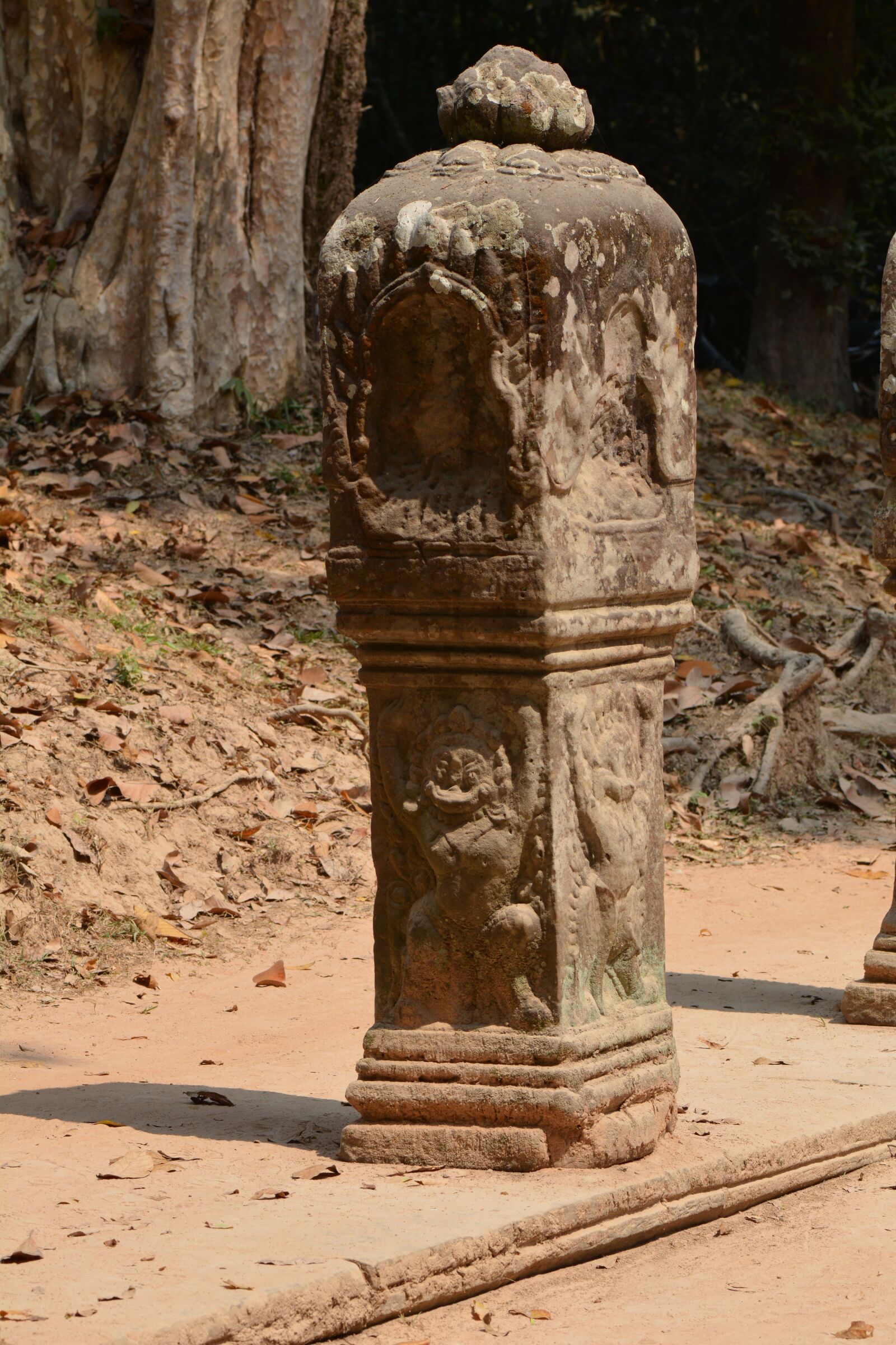 Nikon D7100 sample photo