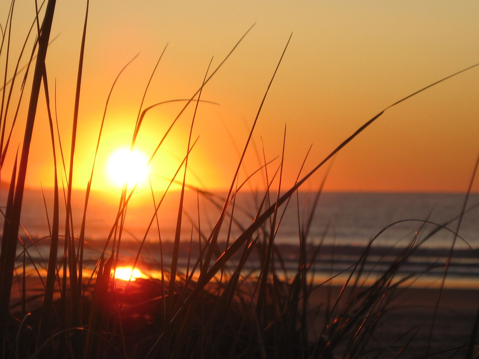 Canon PowerShot A1000 IS sample photo. Sunrise, beach, maine photography