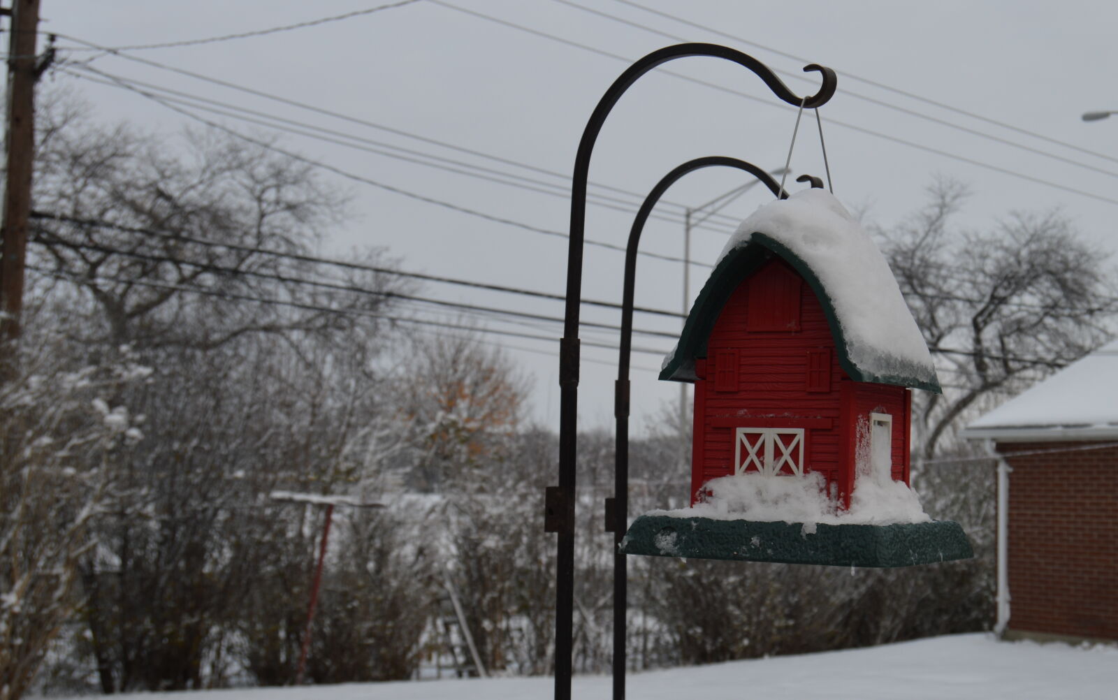 Nikon D3200 sample photo
