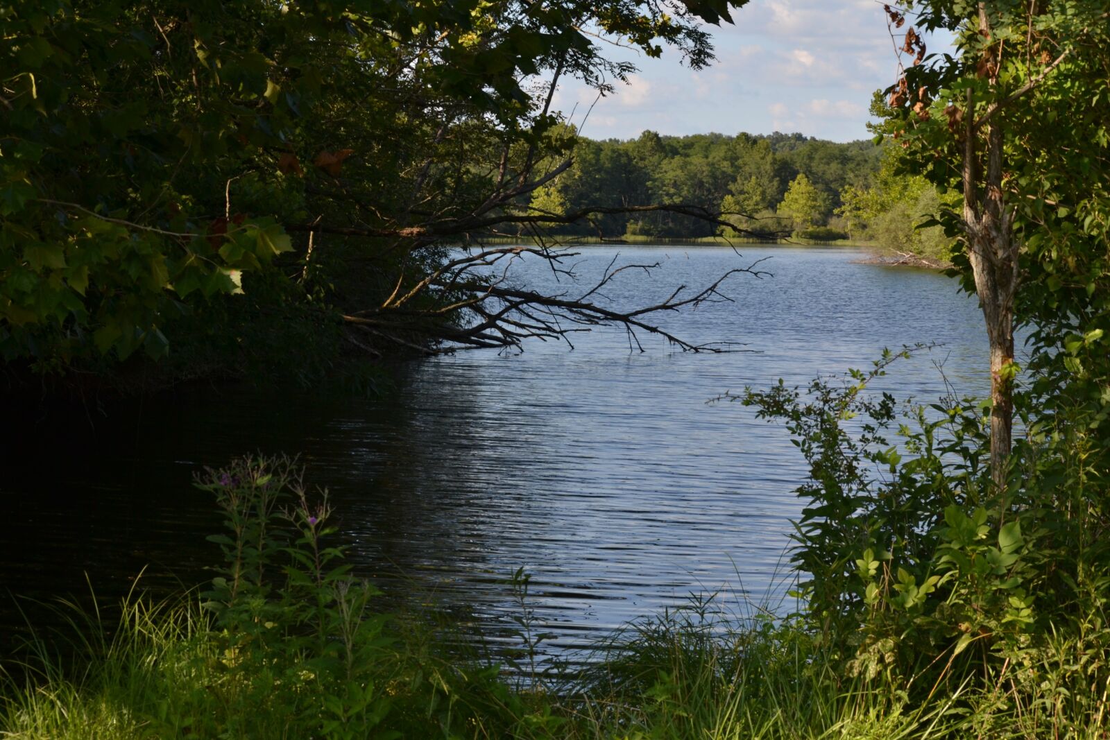 Nikon D3100 sample photo. Lake, water, na photography