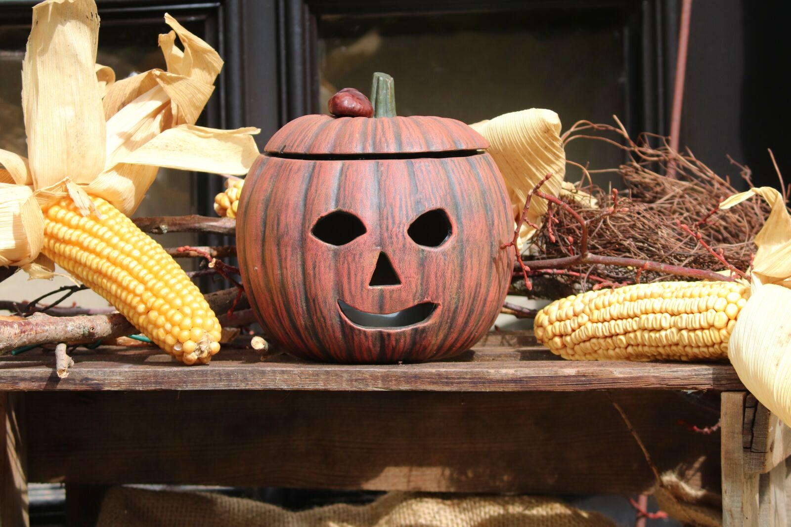 Canon EOS 200D (EOS Rebel SL2 / EOS Kiss X9) sample photo. Halloween, pumpkin, decoration photography
