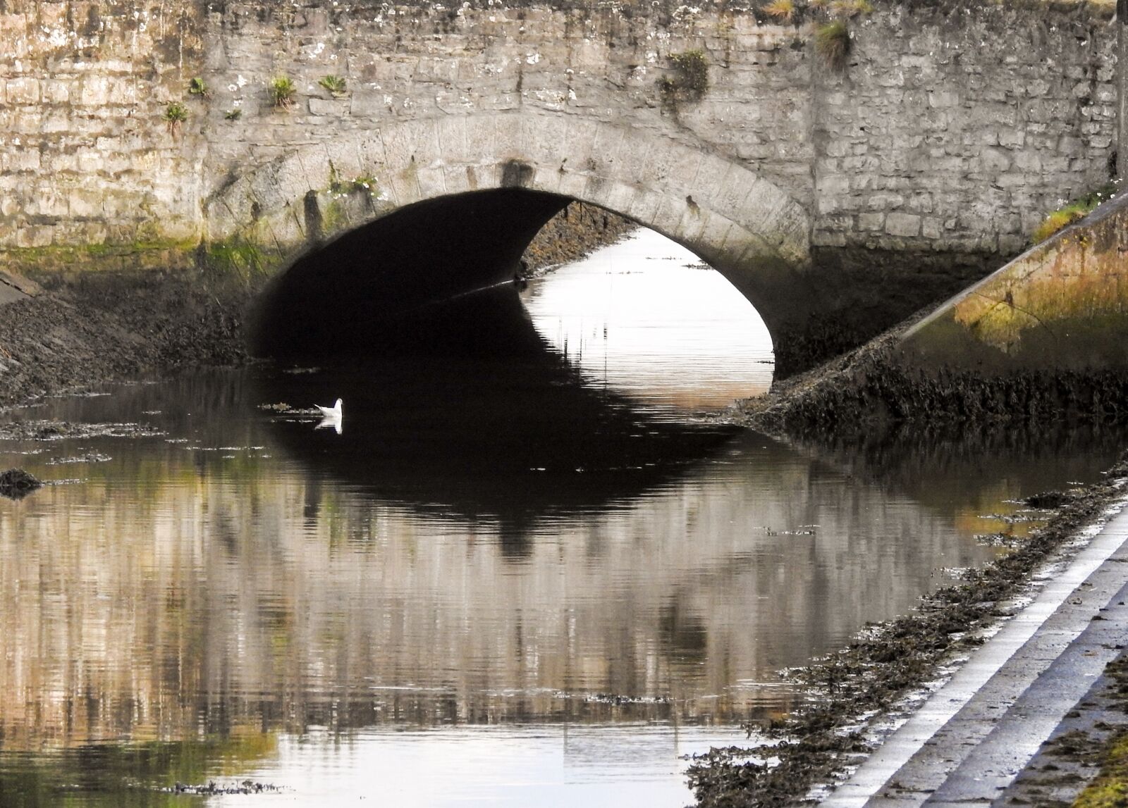 Nikon Coolpix P900 sample photo. Bridge, canal, water photography