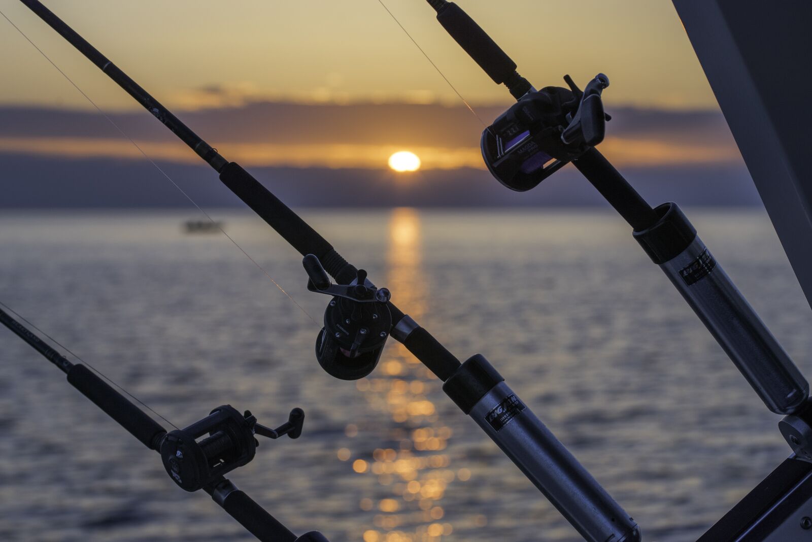 Nikon D810 sample photo. Charter, fishing, water photography