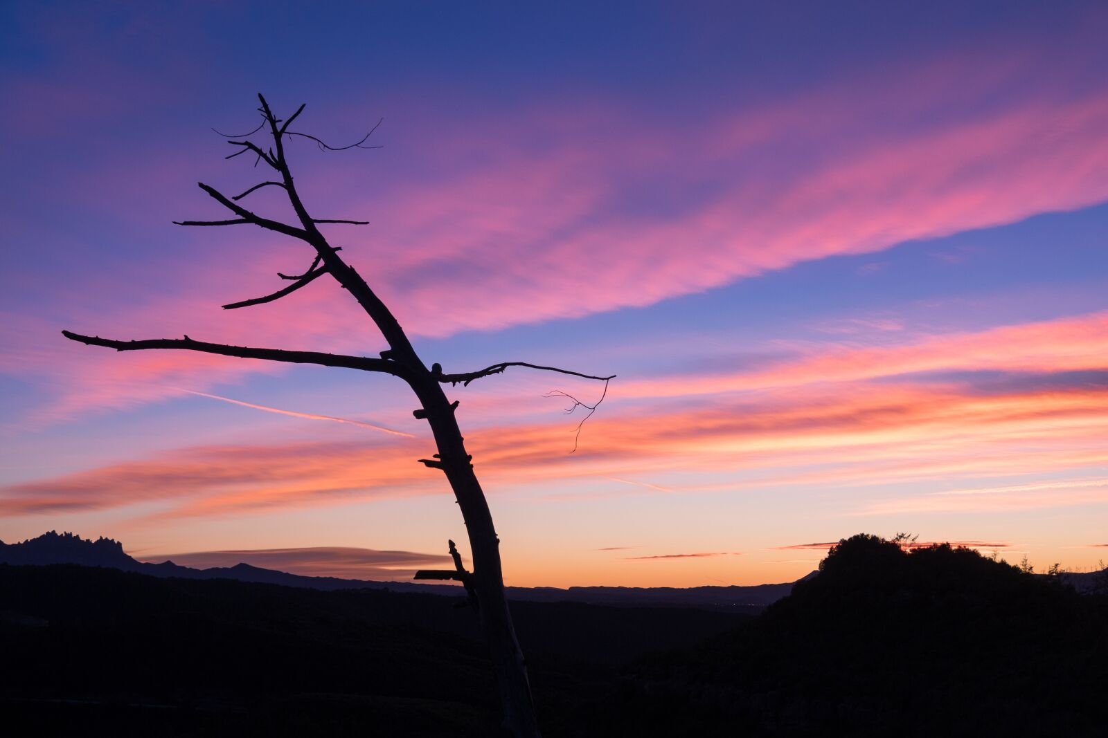 Fujifilm XF 18-135mm F3.5-5.6 R LM OIS WR sample photo. Sunset, tree, trunk photography