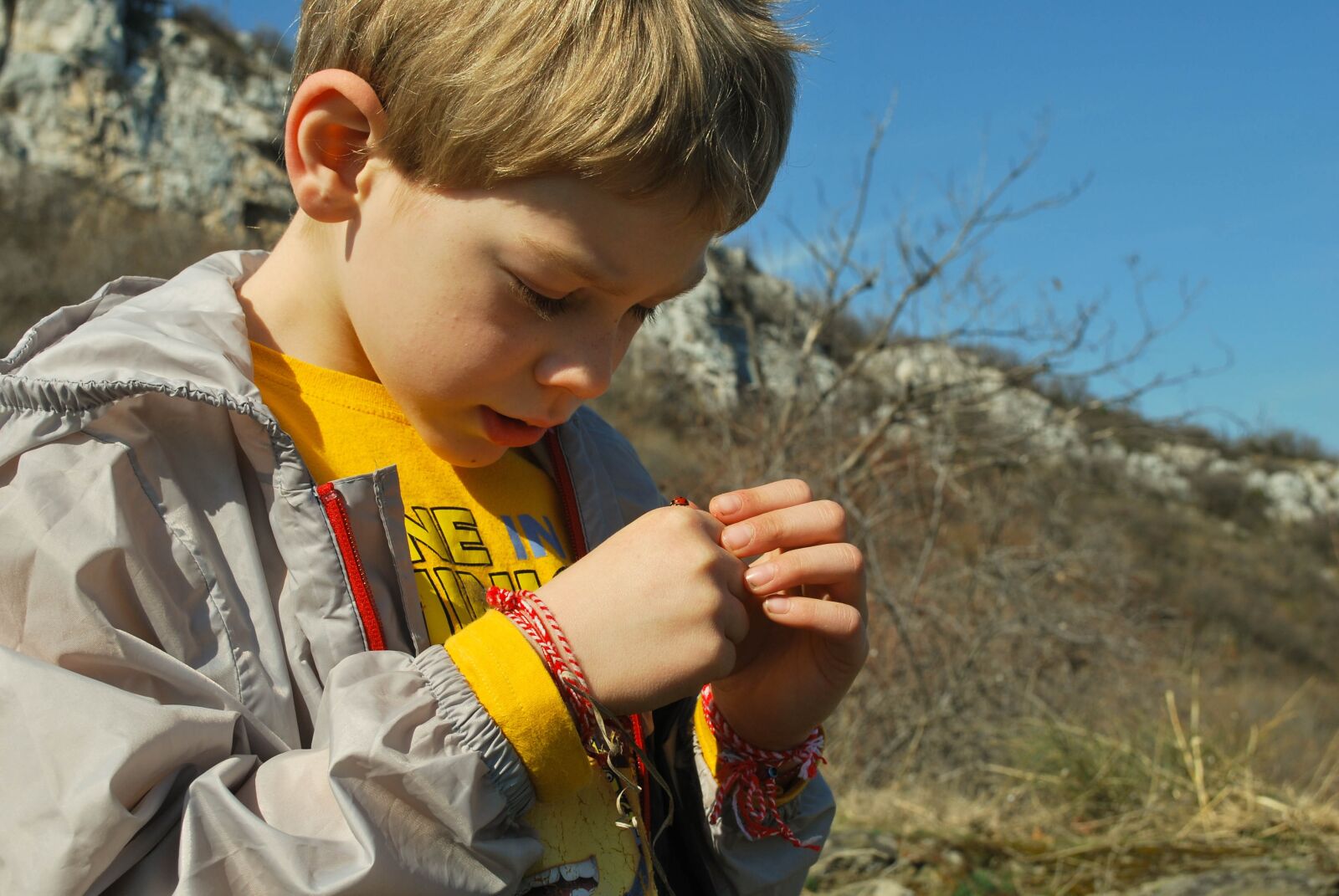 Nikon D60 sample photo. Boy, ladybug, observe photography