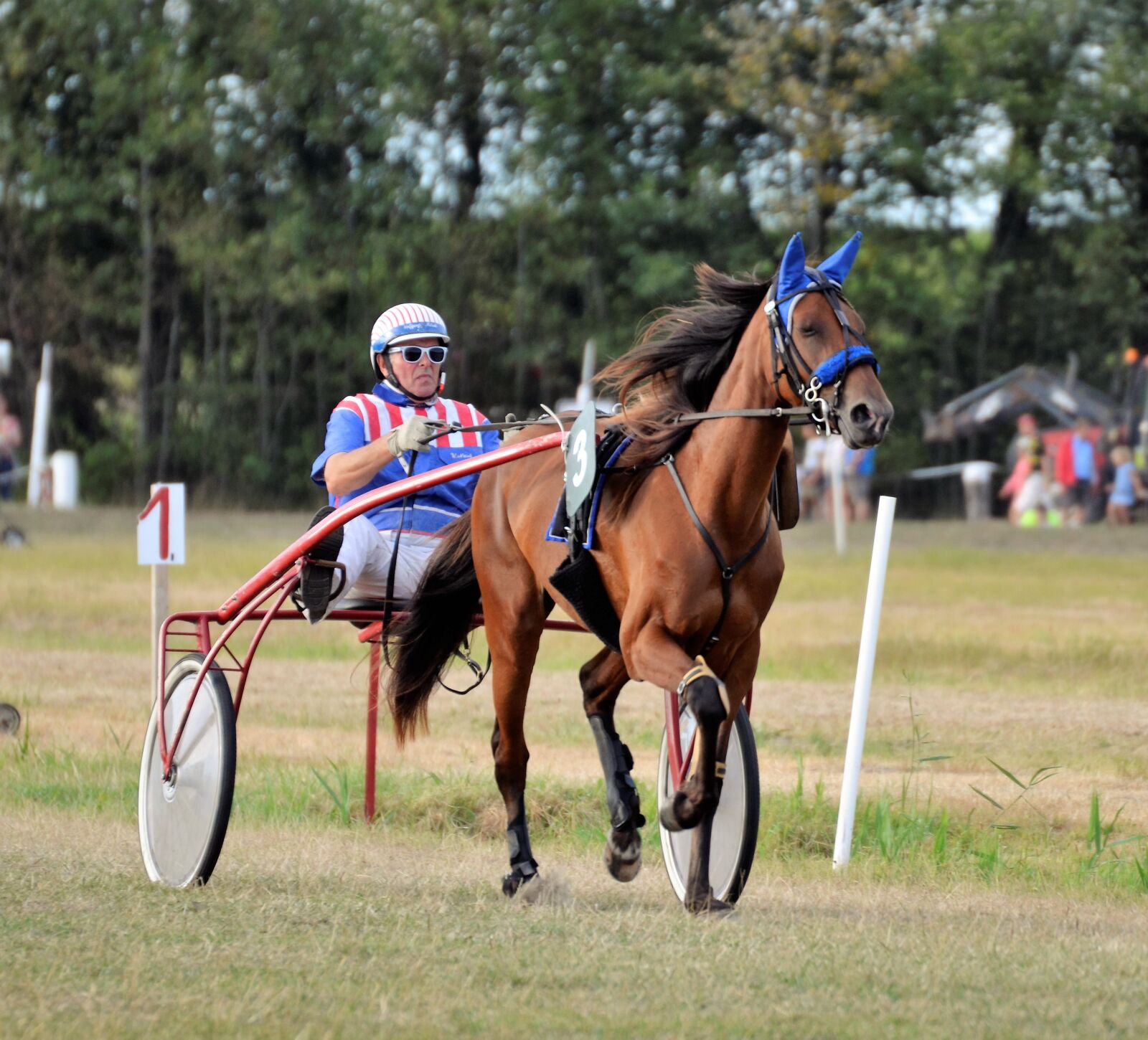 Nikon D5100 sample photo. Traber, racing, rennsulky photography
