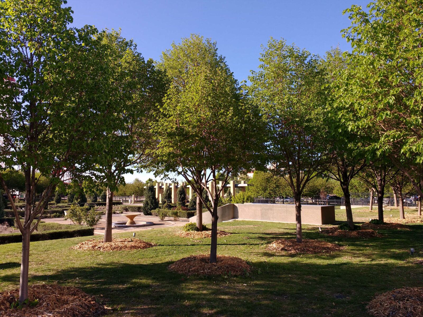 Motorola MotoG3 sample photo. Tree, landscape, park, grass photography