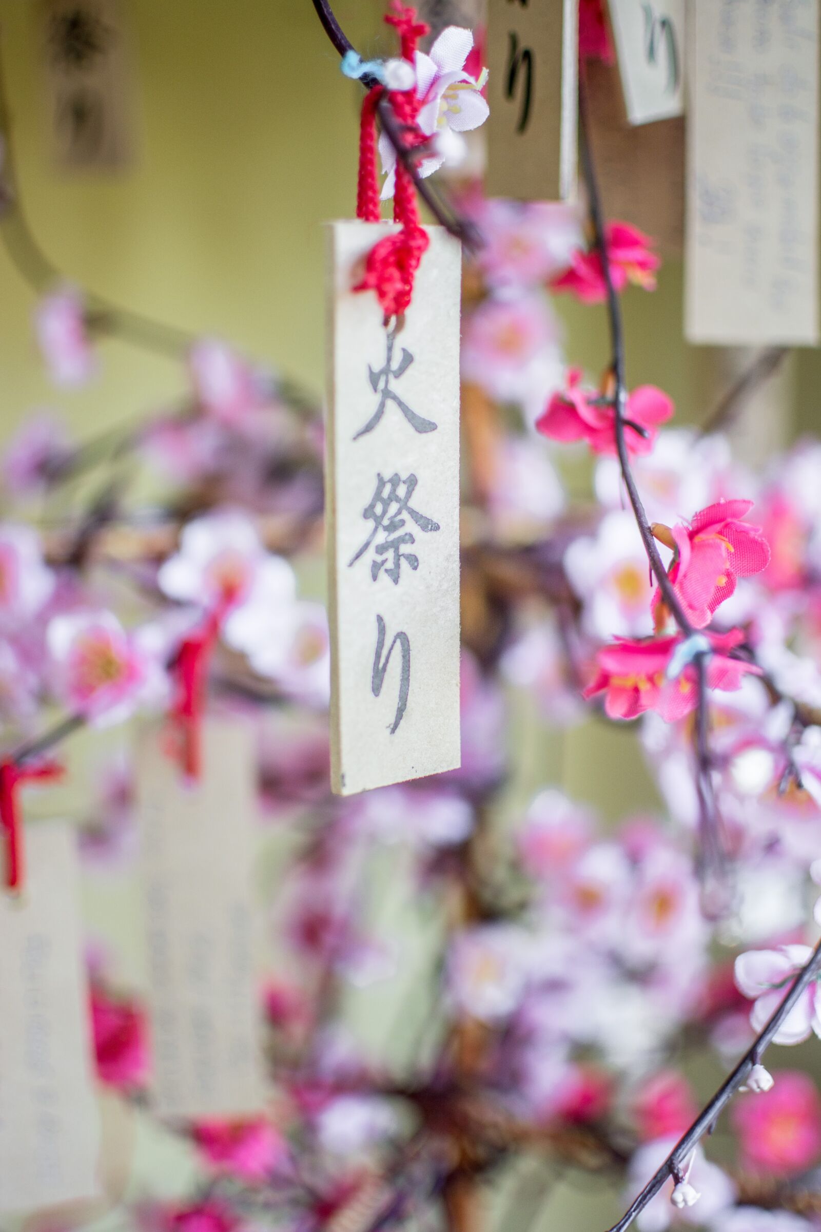 Nikon D7100 sample photo. Flower, japan, garden photography