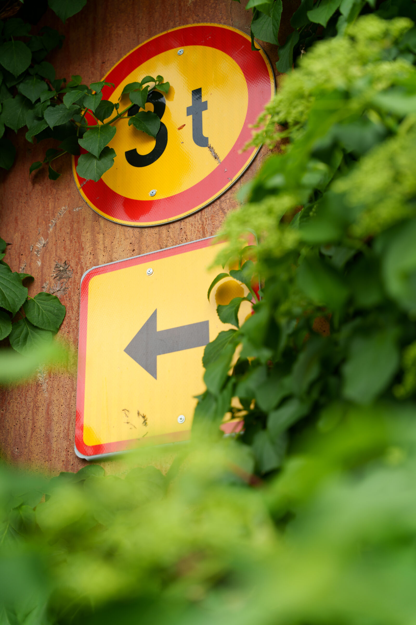 Sony a7R V sample photo. 3t sign photography