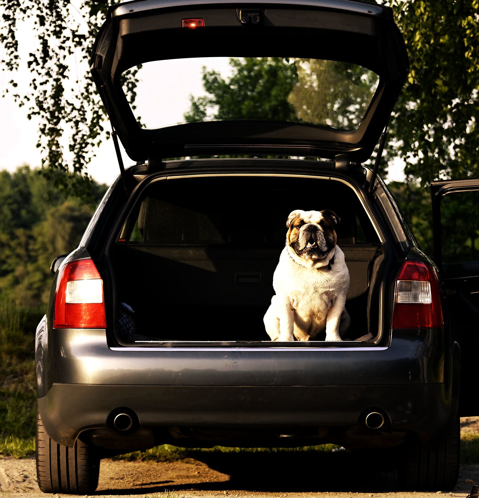 Nikon D3200 sample photo. Audi a 4 sport photography