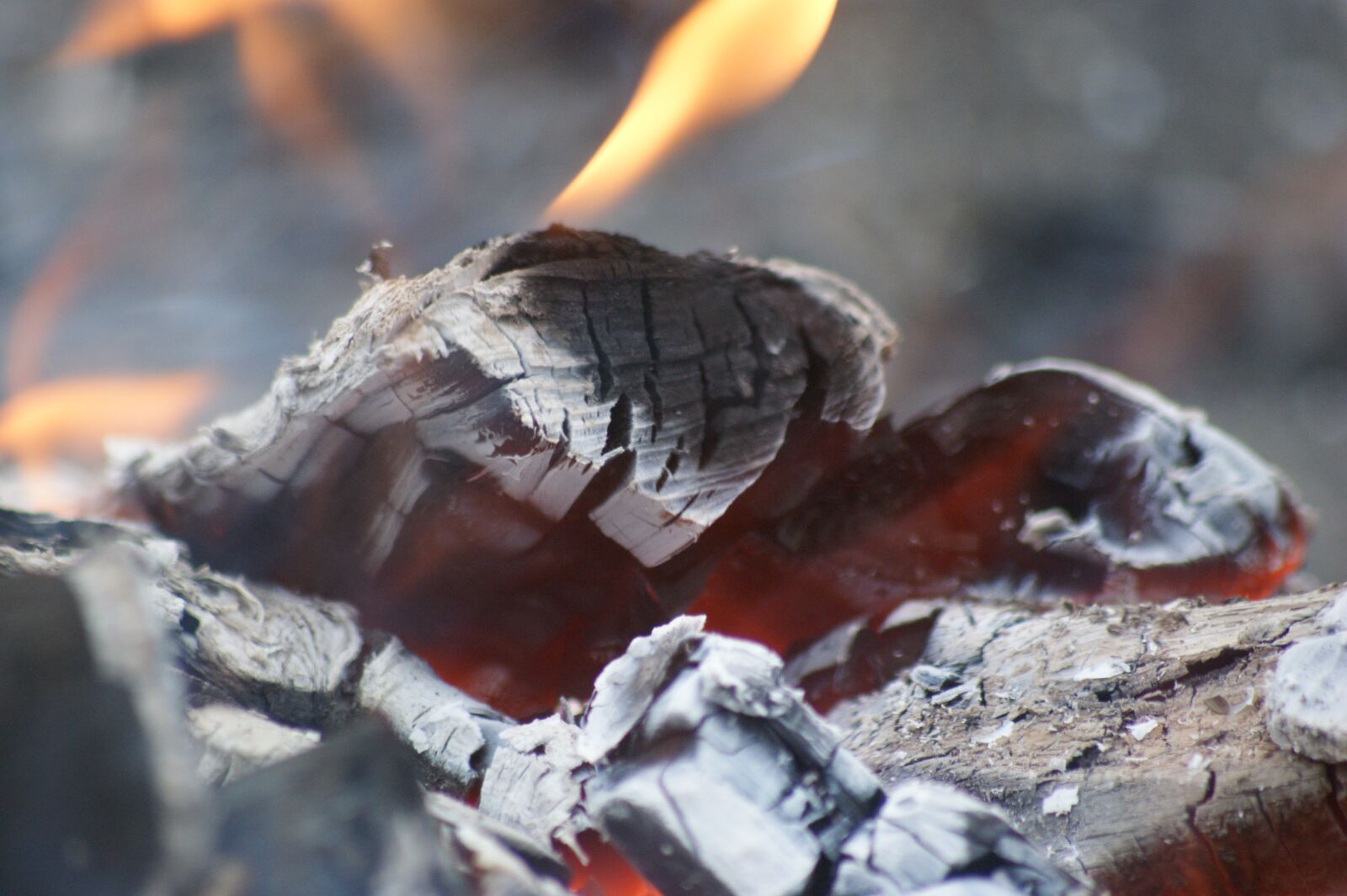 Sony Alpha DSLR-A350 sample photo. Flames, bonfire, fire photography