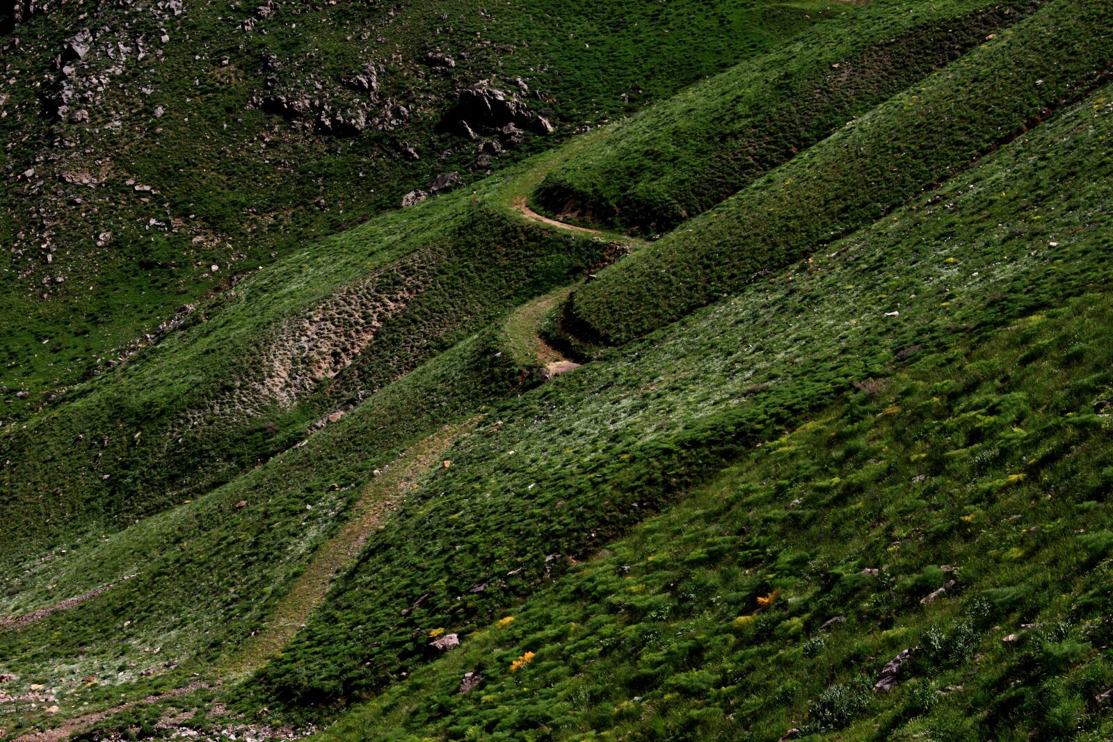 Canon EOS 500D (EOS Rebel T1i / EOS Kiss X3) sample photo. Nature, landscape, green photography