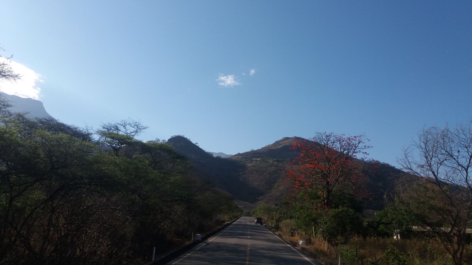 Samsung Galaxy J5 sample photo. Carretera, paisaje, arboles photography